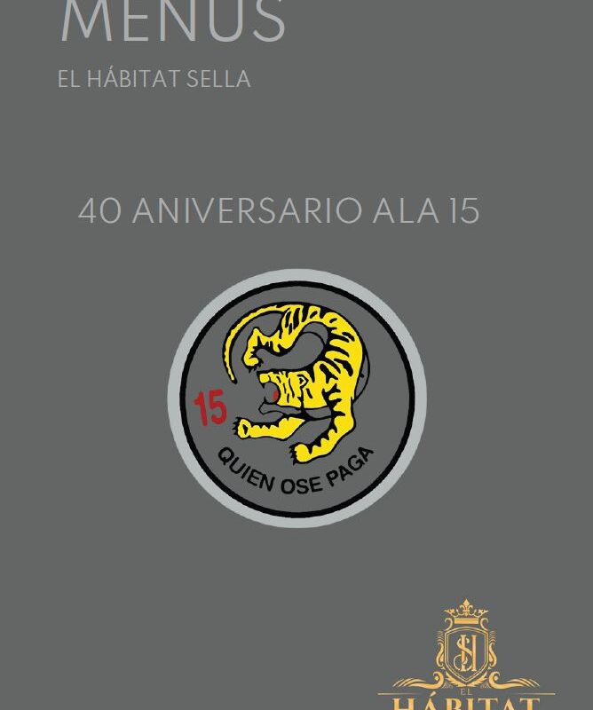 XL ANIVERSARIO DEL ALA 15